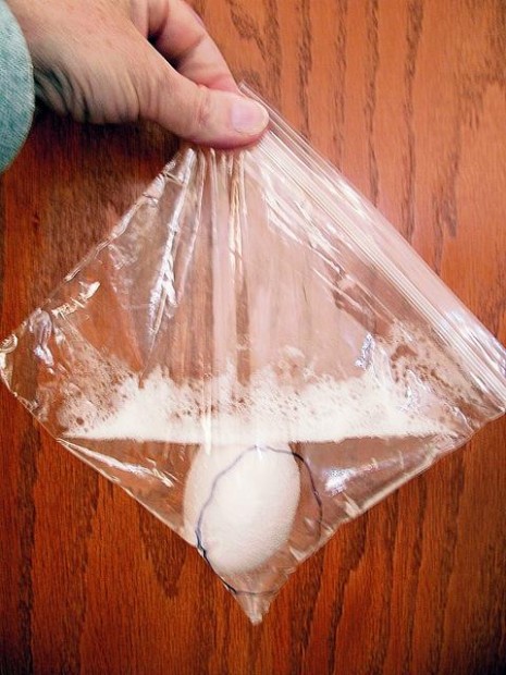 Summertime experimentation's in the bag  
