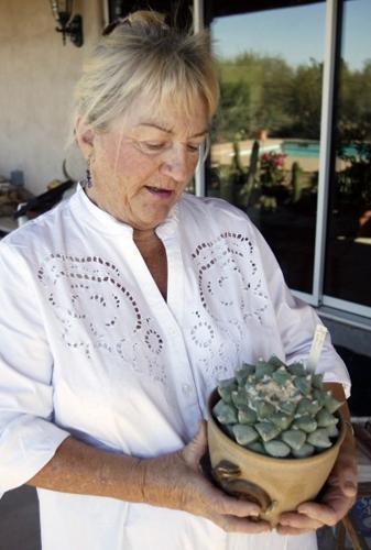 Plant collecting a hobby only for the hardy    