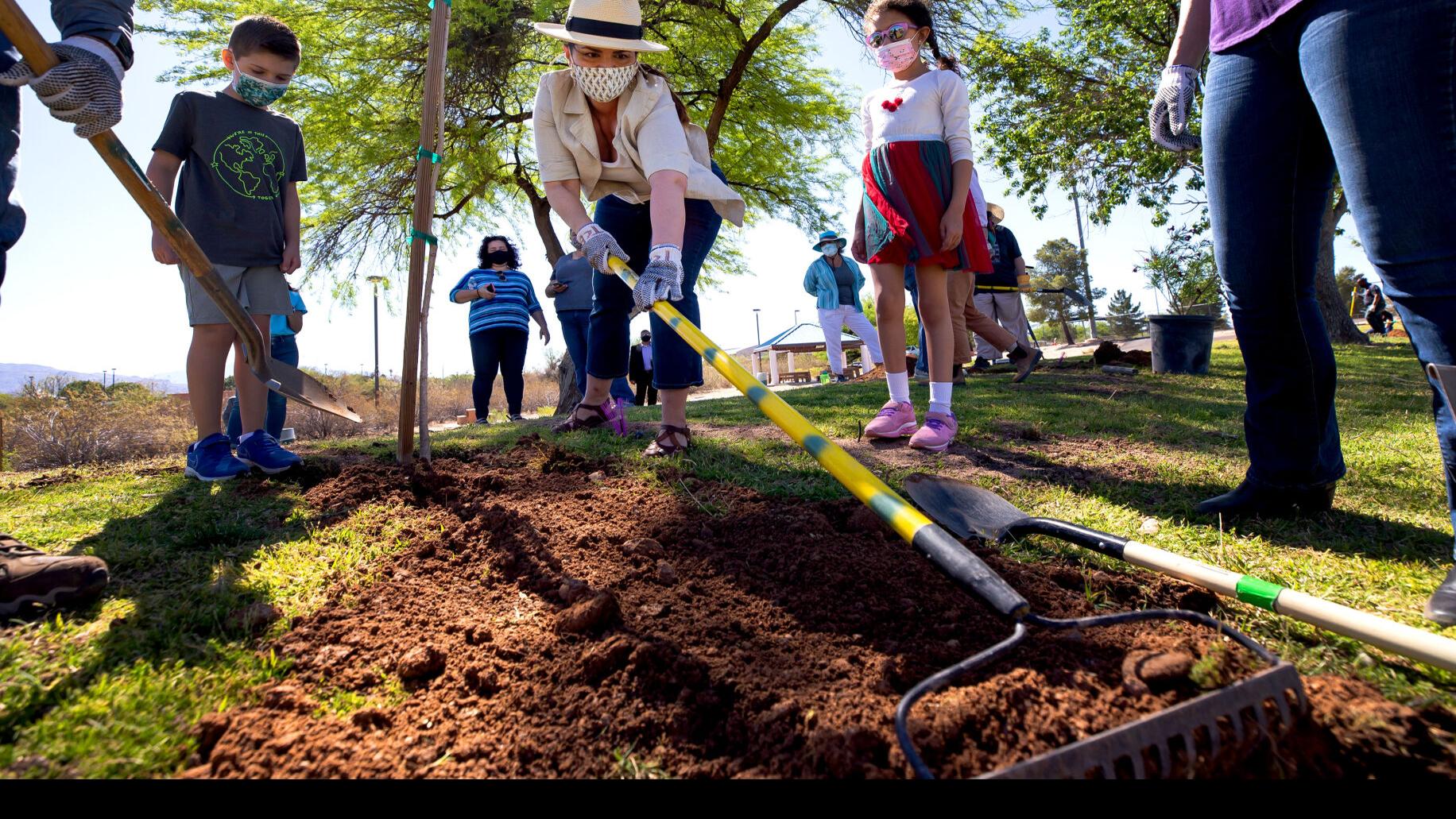 Tim Steller S Opinion Warming Climate Means Tucson Needs More Trees May Have Less Water For Them Local News Tucson Com