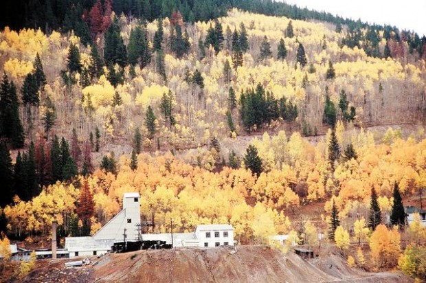 Color in Colorado now  