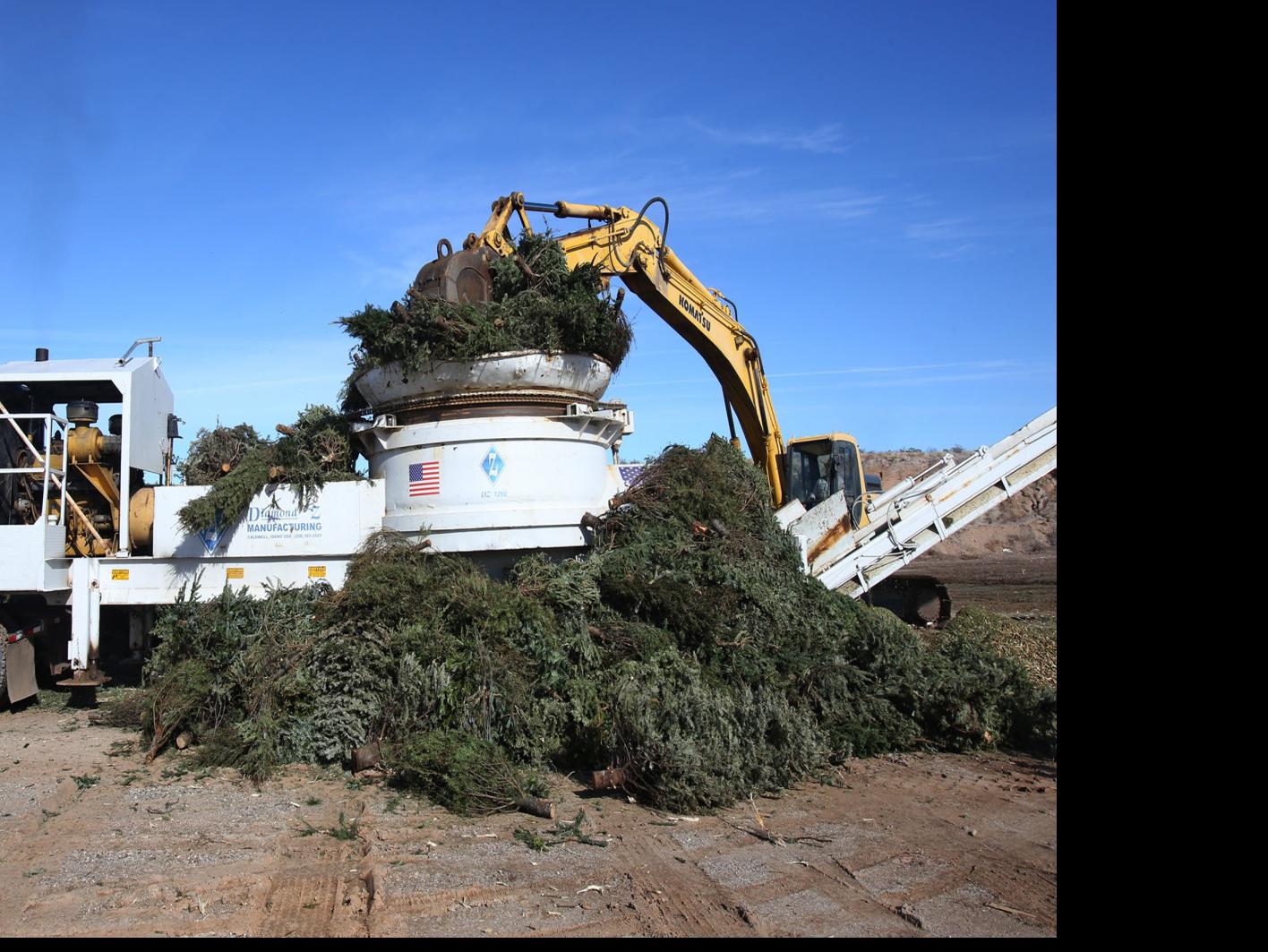 Where To Recycle Your Christmas Tree In Tucson Local News Tucson Com