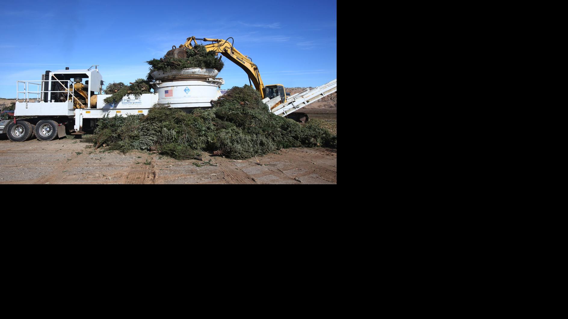 Where to recycle your Christmas tree in Tucson