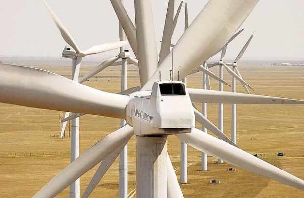 Electricity hunters sniff the wind  