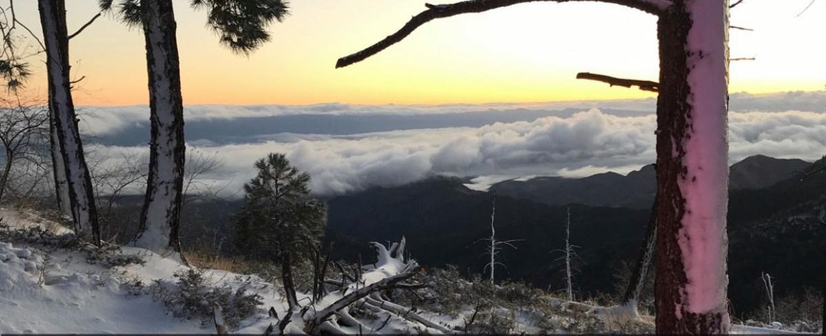 Mount Lemmon