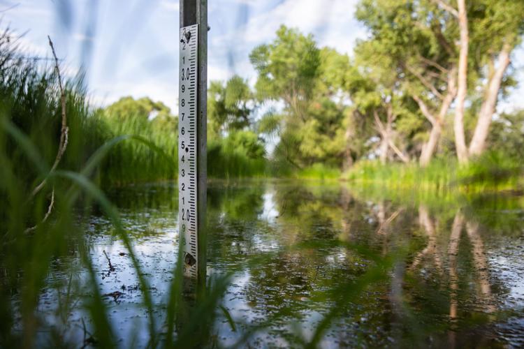 Border Wall, San Bernardino National Wildlife Refuge