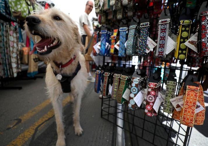 55th annual Spring Fourth Avenue Street fair