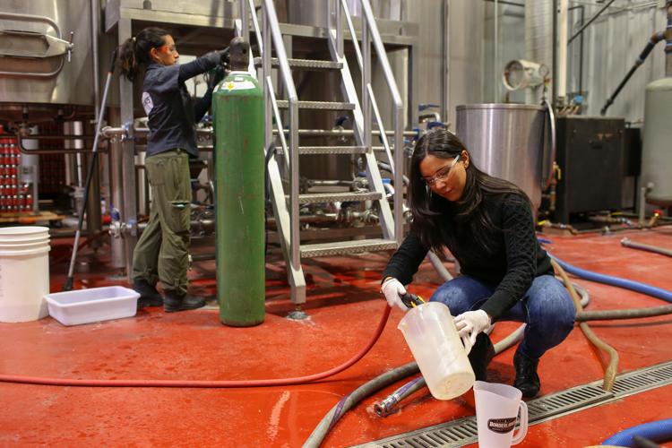 Las Hermanas Brewing