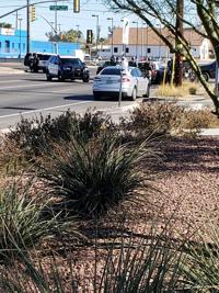 Tucson police standoff ends with wanted man in custody