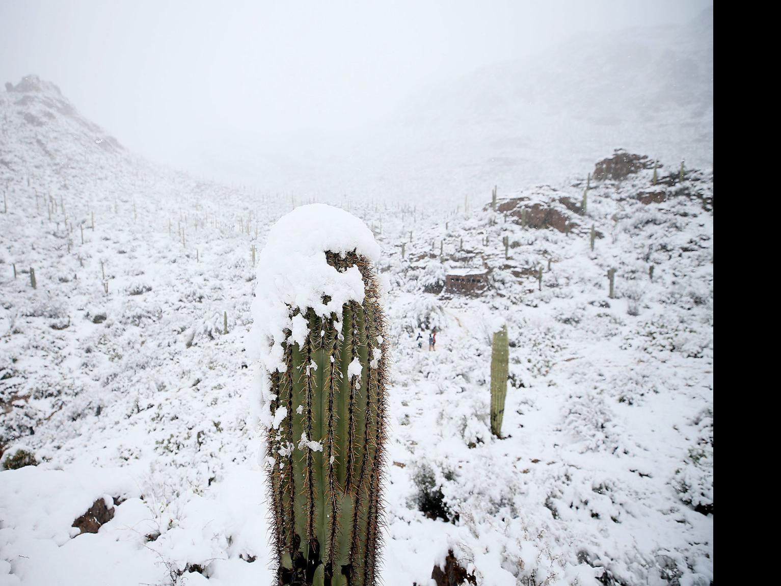 Tucson Snow To Give Way To Warmer Weather Clearer Skies Through