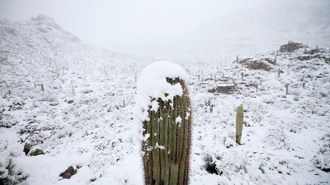 Tucson Weather November 2025
