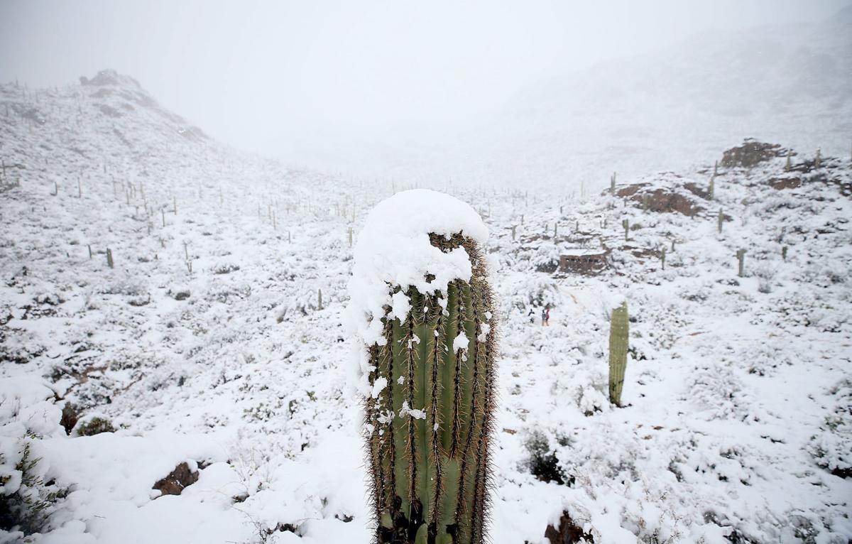 Flagstaff snow totals