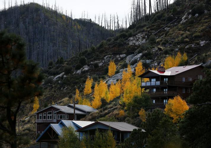 Fall colors on Mount Lemmon