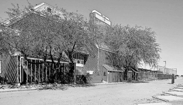 New Bum Steer still trying to define itself  