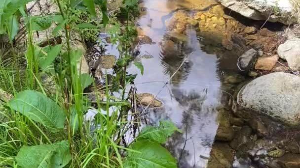 Water flowing at Marshall Gulch alongside the Marshall Gulch trail