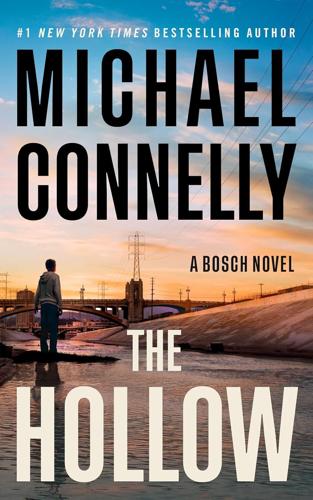 The Hollow -- Michael Connelly.jpg