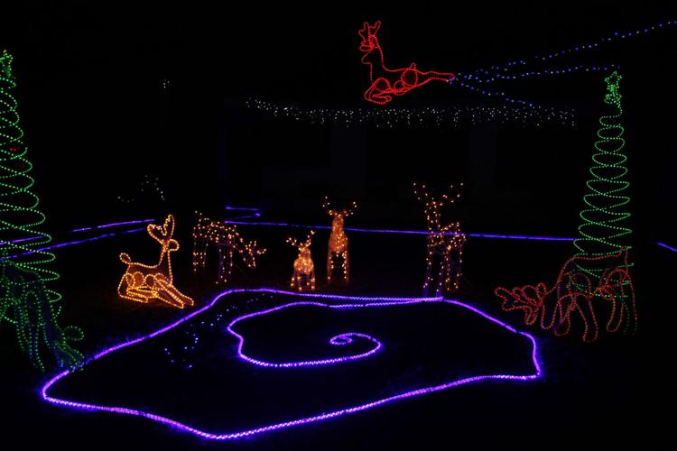 65th Annual Winterhaven Festival of Lights