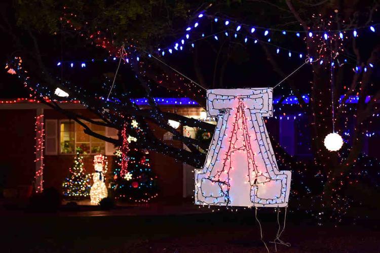 Winterhaven Festival of Lights 2015