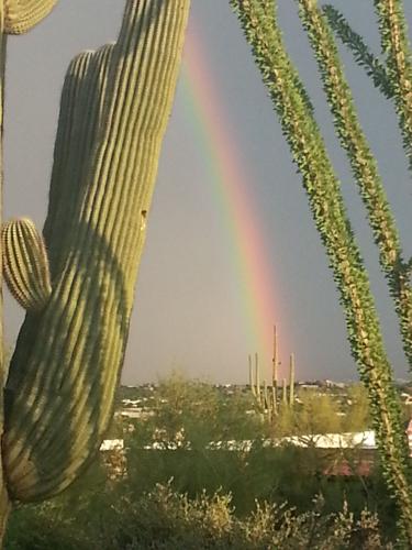 Monsoon photo contest