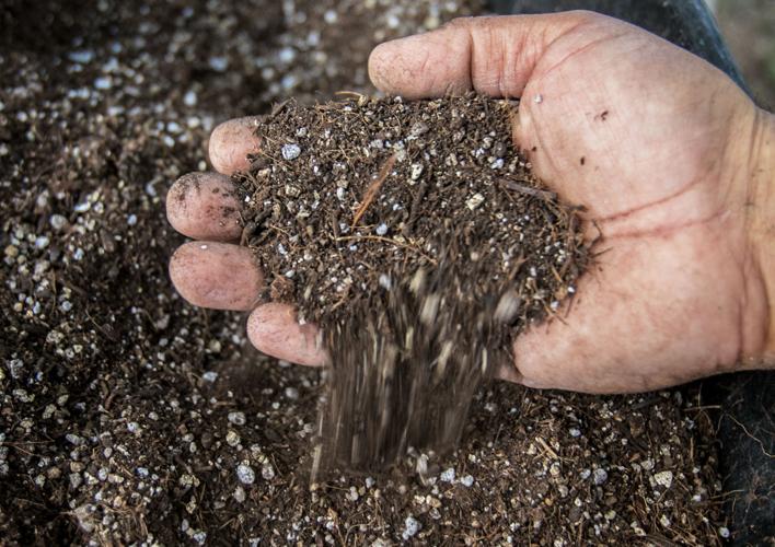 Food Bank Garden items