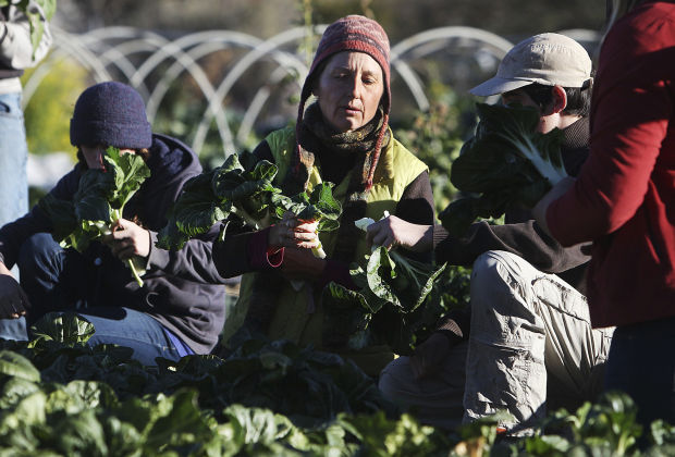 River Road Gardens at Tucson Waldorf School