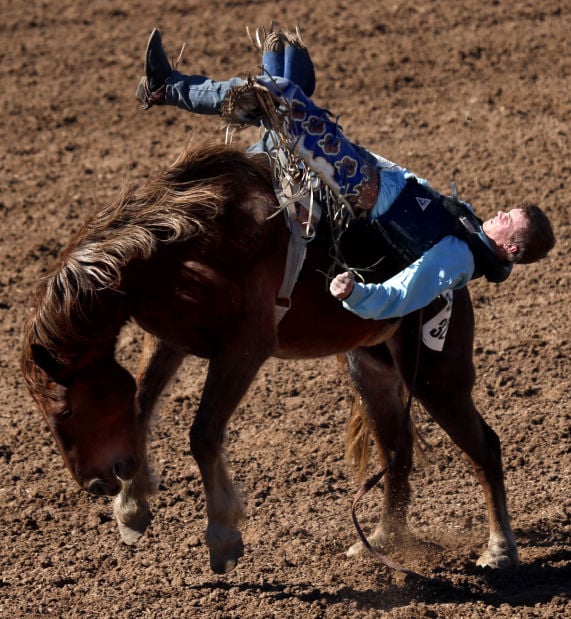 Top 27+ Background Images la fiesta de los vaqueros tucson rodeo Excellent