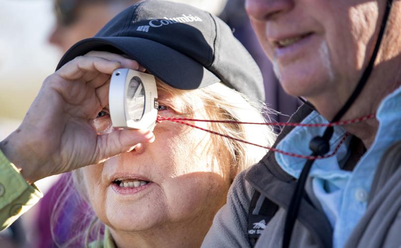 Saguaro cactus census at Saguaro NP