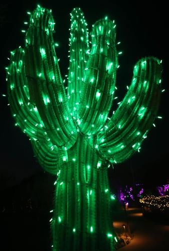 Holiday Nights at Tohono Chul (copy)