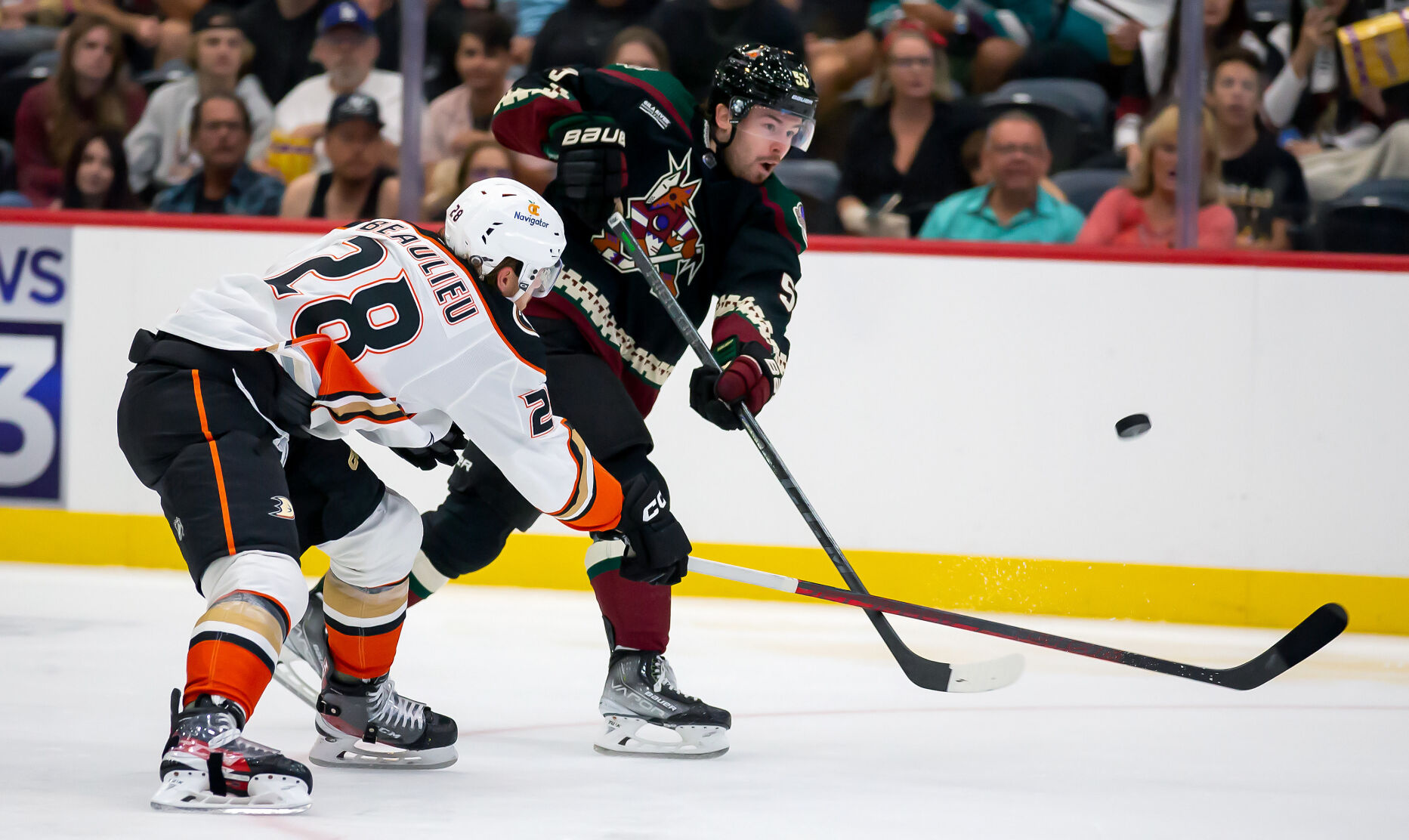NHL Exhibition: Arizona Coyotes vs Anaheim Ducks