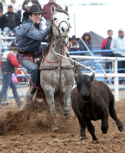 Thursday at the Rodeo