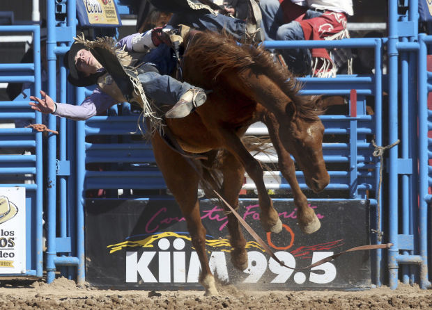 Tucson rodeo: Women's event a smash hit with Tucson Rodeo fans    