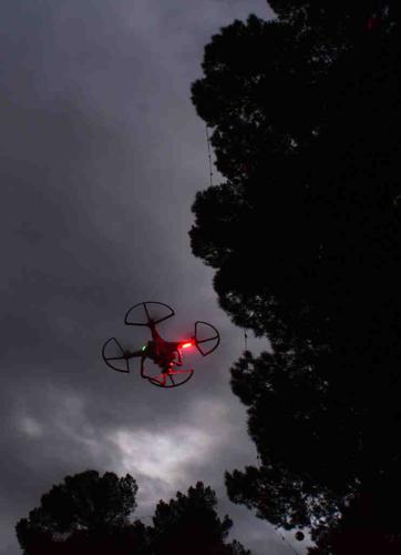 Winterhaven Festival of Lights 2015