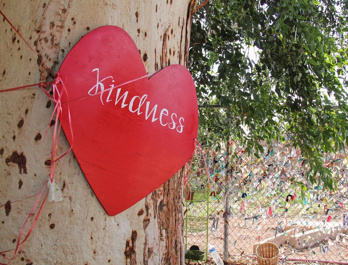 Kindness trees, labyrinths: How 3 Tucson neighborhoods have connected ...