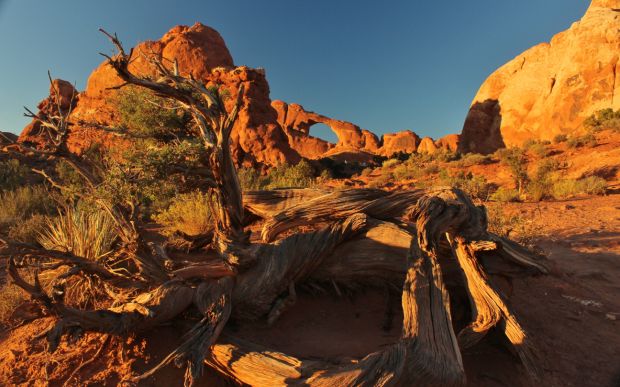 National Park Travel Photo Contest entries