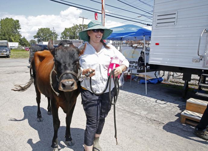 Untitled Cabrini film set (copy) Lilly the cow