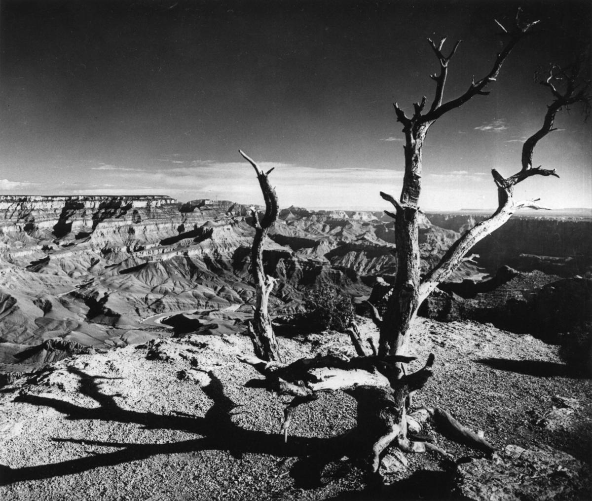 Grand Canyon National Park