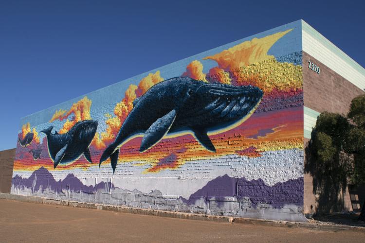 Banner - University Medicine commissioned Tucson murals: Joe Pagac