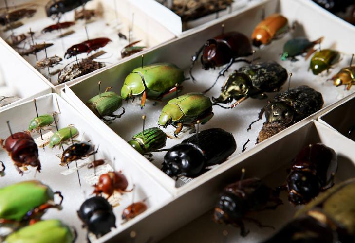 Entomologists Charlie and Lois O'Brien