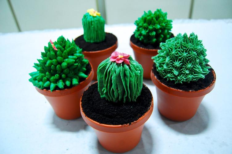 Cactus cakes