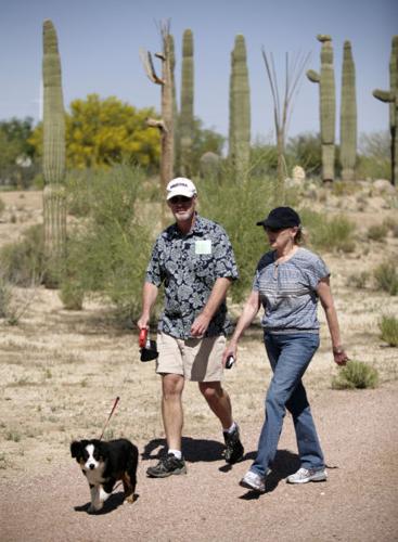Show of desert plants, critters    