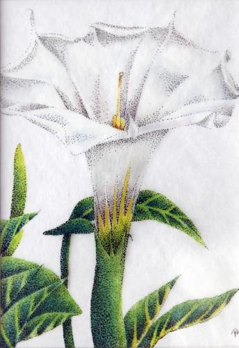 Tucson's Southbound Studios provides a forum for tattoo artists to showcase their work    