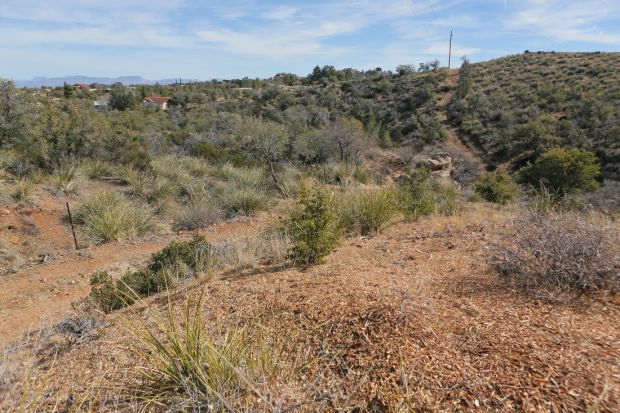 Fire danger in Oracle has officials pushing for better protection for homes