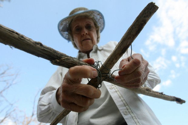 Join in the Saguaro Harvest celebration    