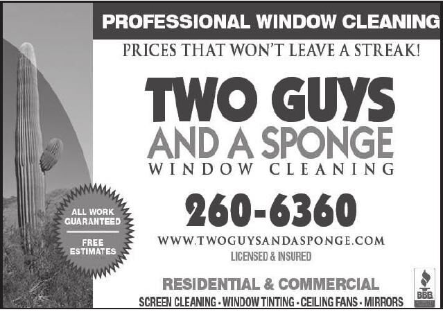 Two Guys and a Sponge Window Cleaning