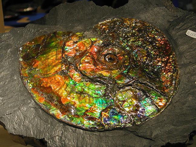 How The Tucson Gem And Mineral Show Grew Over 65 Years News Tucsonlocalmedia Com