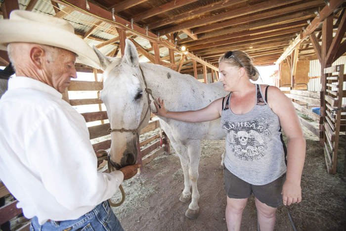 wild hearts ranch rescue tucson reviews
