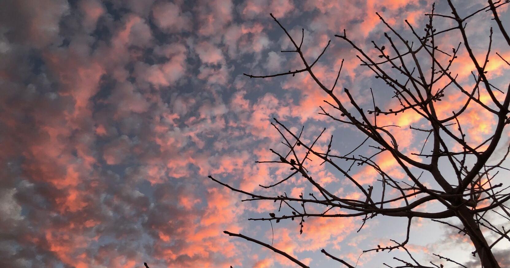 News Briefs: Week of March 13, 2024 - Vimarsana News