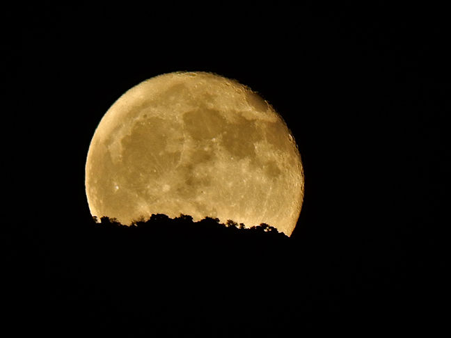 Full Moon