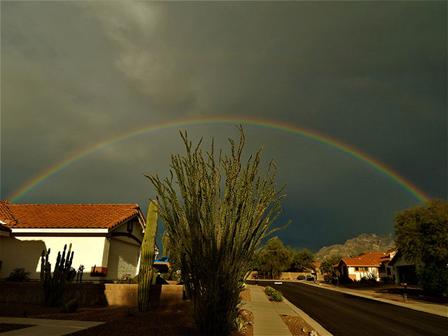 Rainbow
