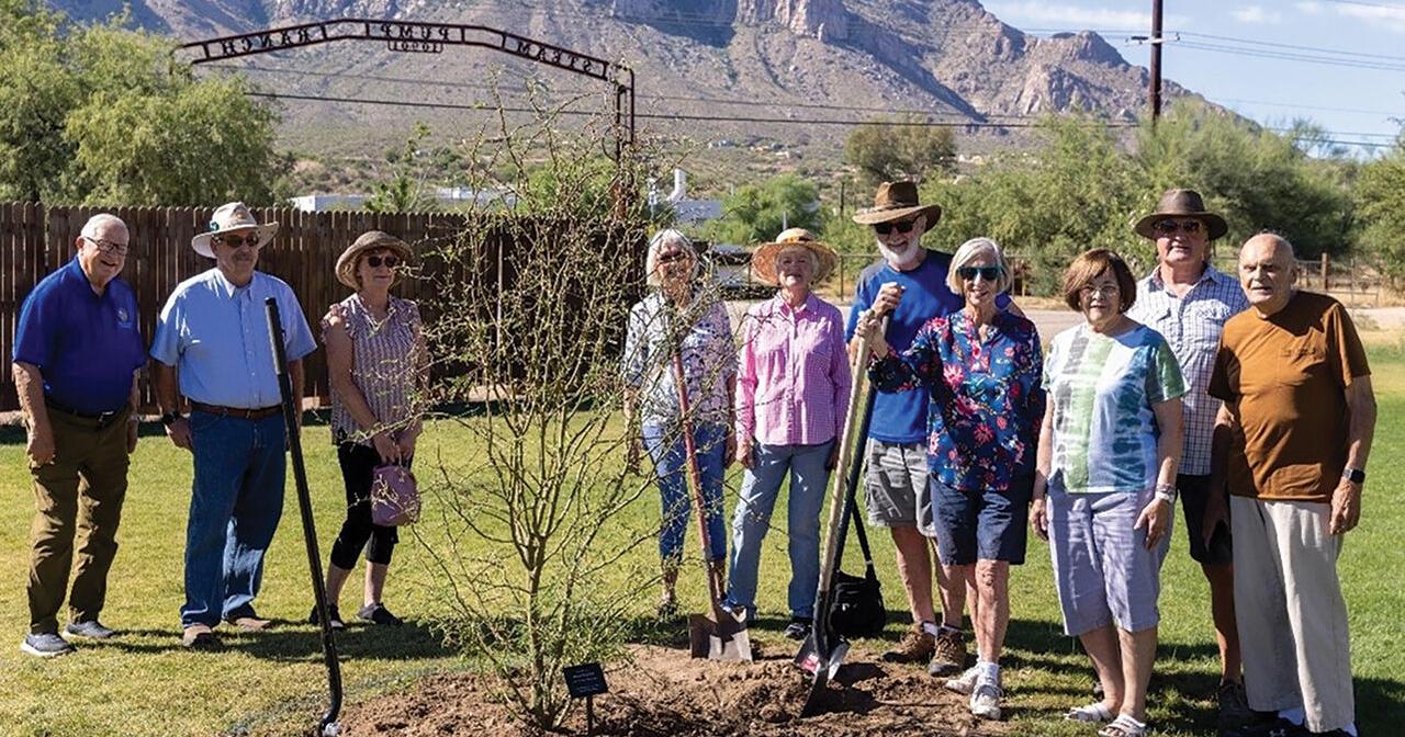 Tree planted to honor Henry Zipf - Vimarsana News