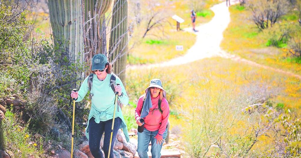 Oro Valley may dissolve tourism panel